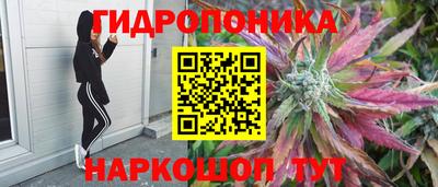 спиды Канаш