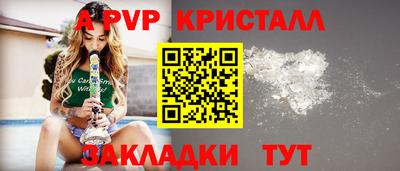 apvp Кингисепп