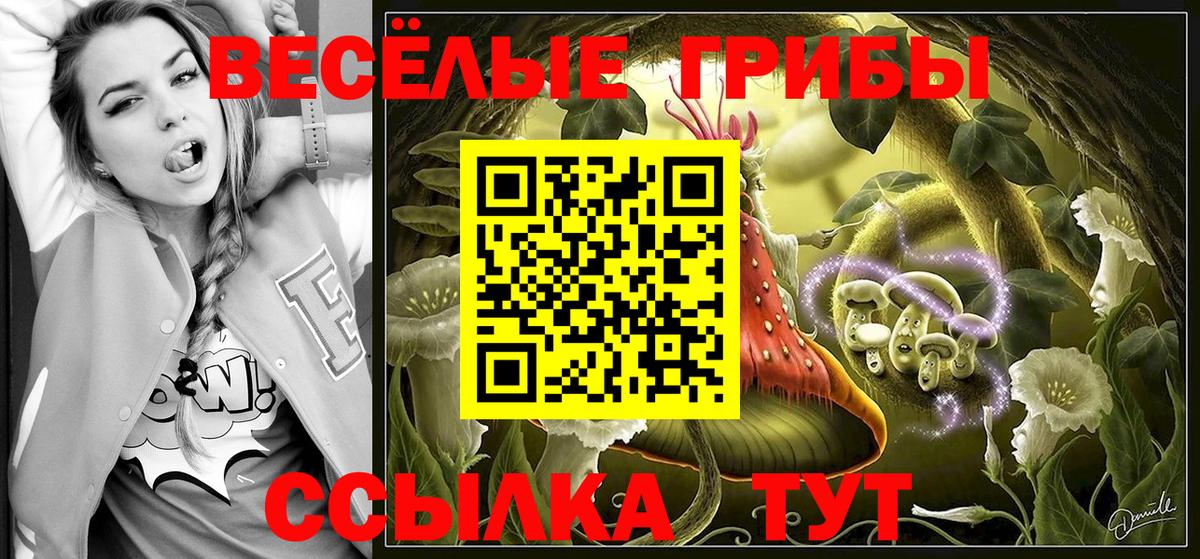 Псилоцибиновые грибы Cubensis  Псилоцибиновые грибы Magic Shrooms  Валуйки  Вход с VPN 